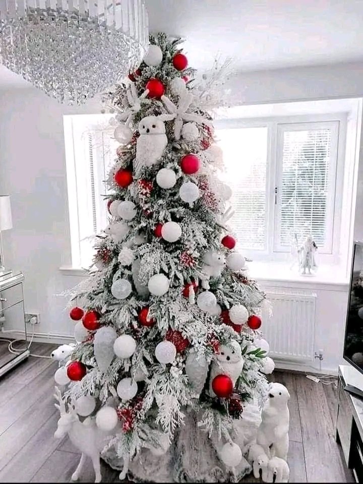 import placeholder for 5047 import placeholder for 5047