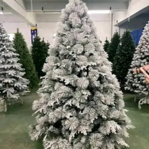 import placeholder for 5062