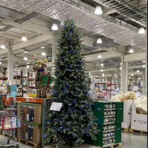 import placeholder for 5086