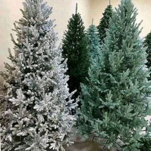 import placeholder for 5092