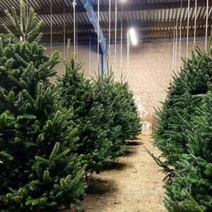 import placeholder for 5110