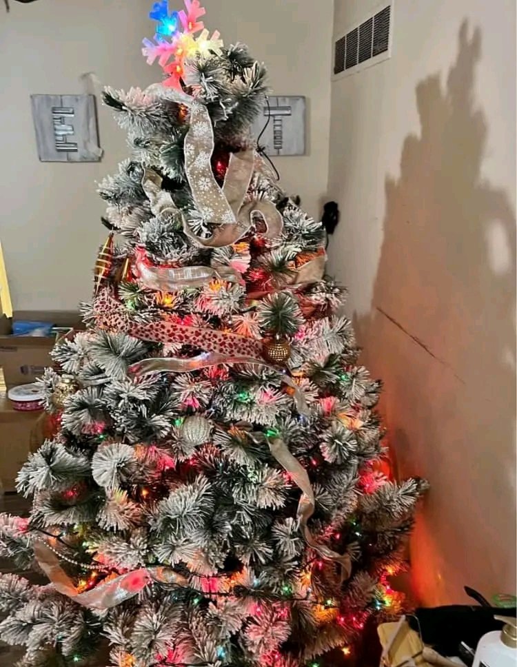 christmas tree 🎄 pallets available christmas tree 🎄 pallets available