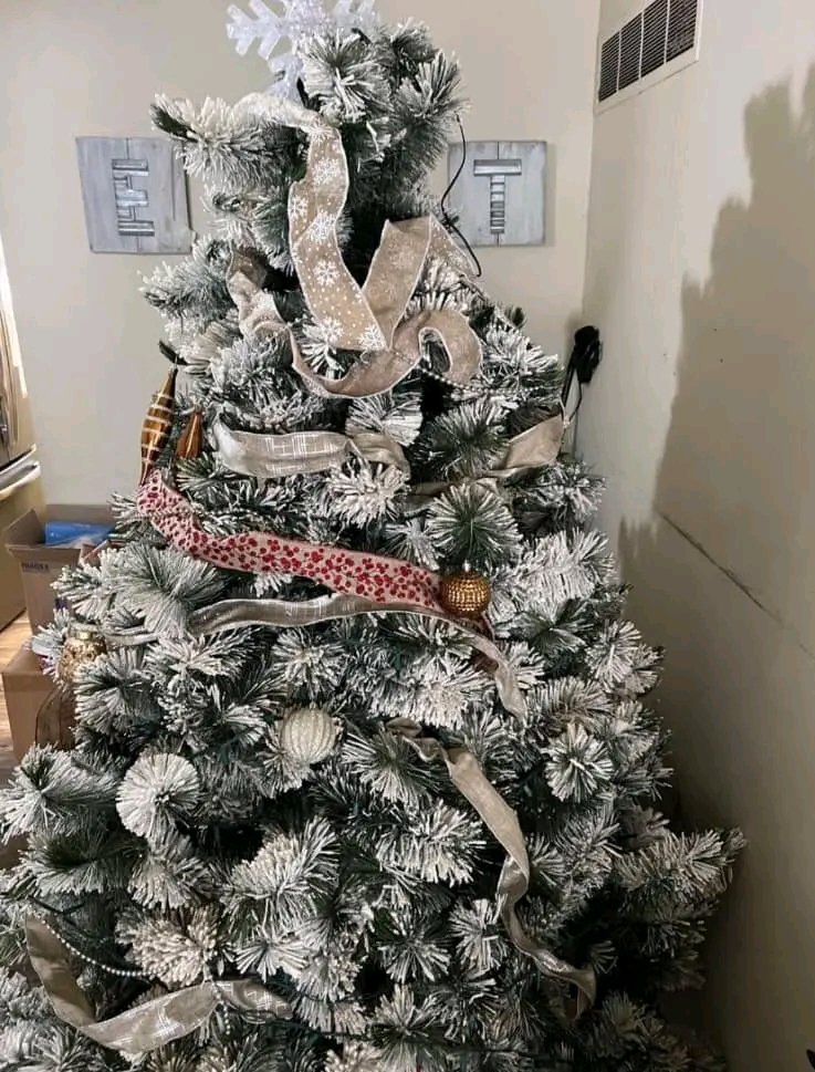 christmas tree 🎄 pallets available christmas tree 🎄 pallets available