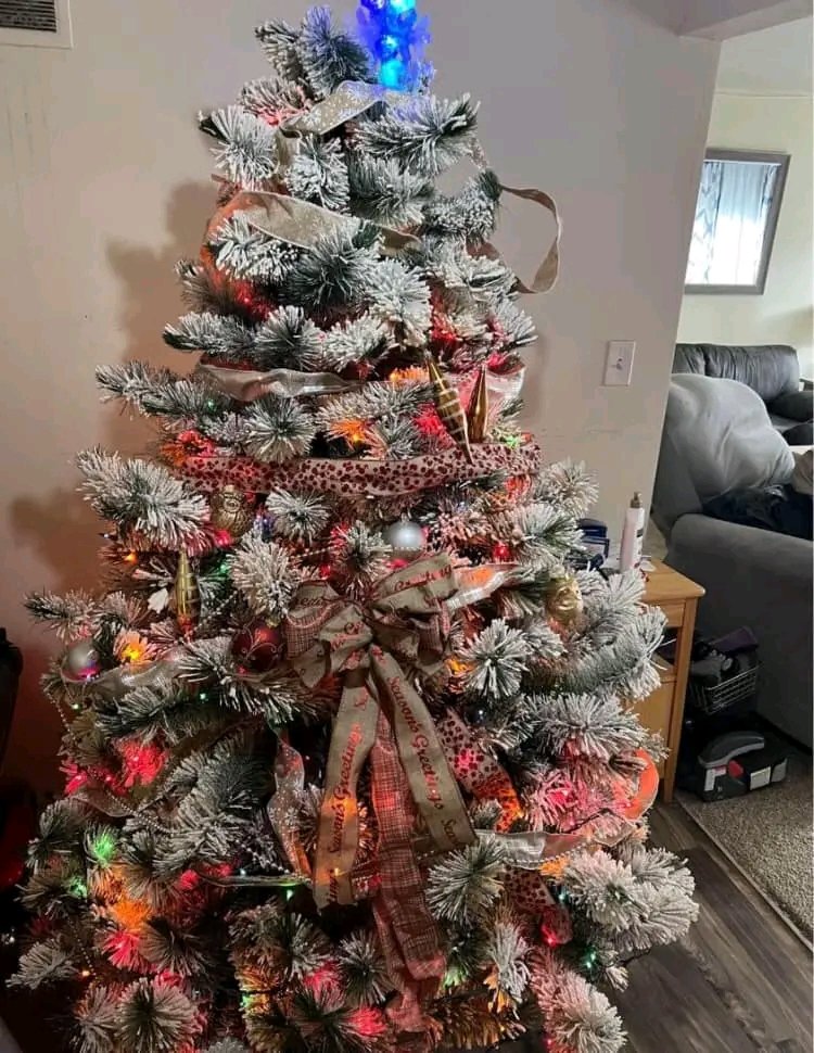 christmas tree 🎄 pallets available christmas tree 🎄 pallets available