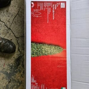 import placeholder for 6465