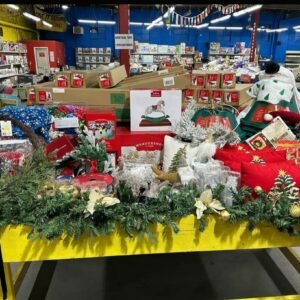 import placeholder for 6582